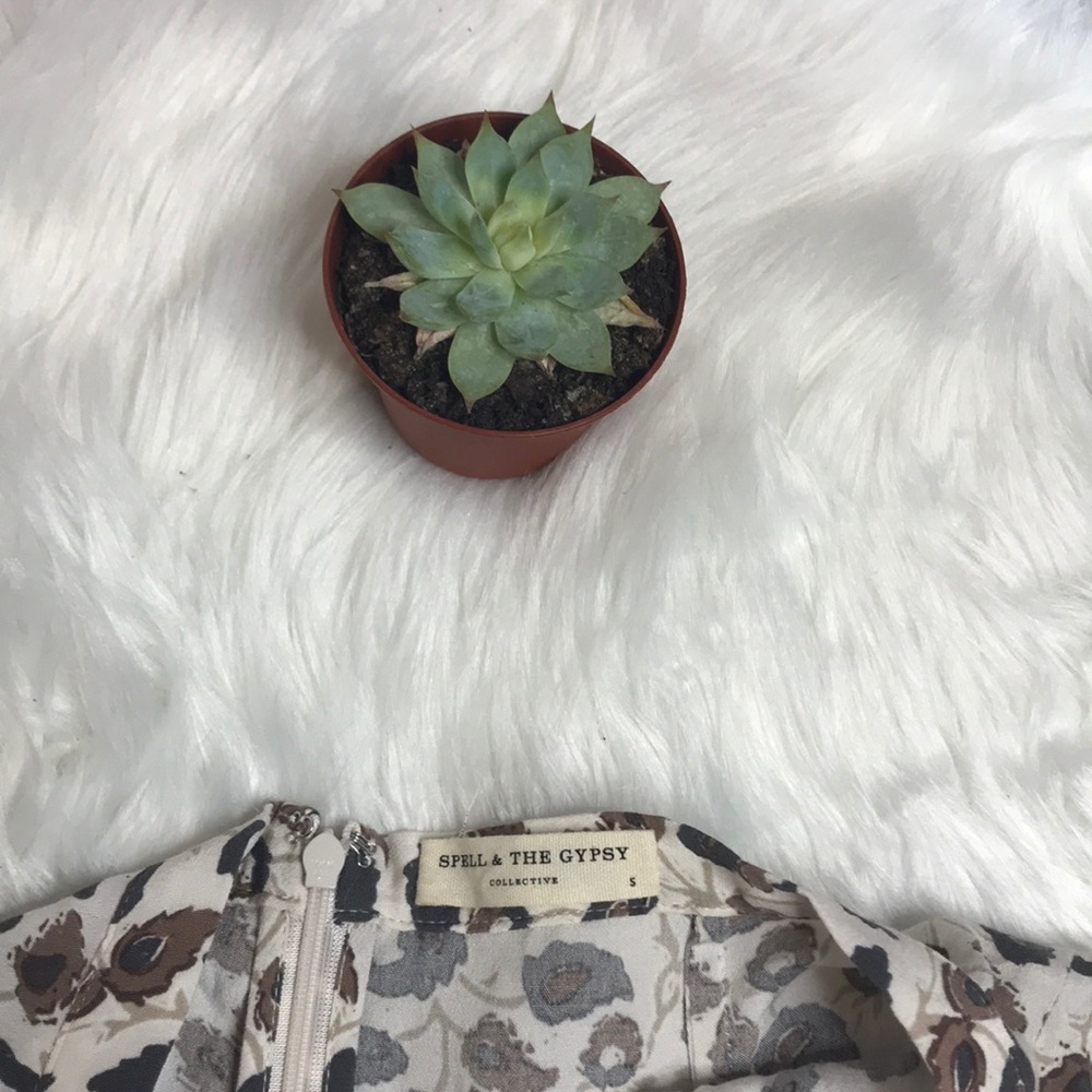 Spell Delirium 🐘 Maxi Skirt in Cream - Picture 5 of 8